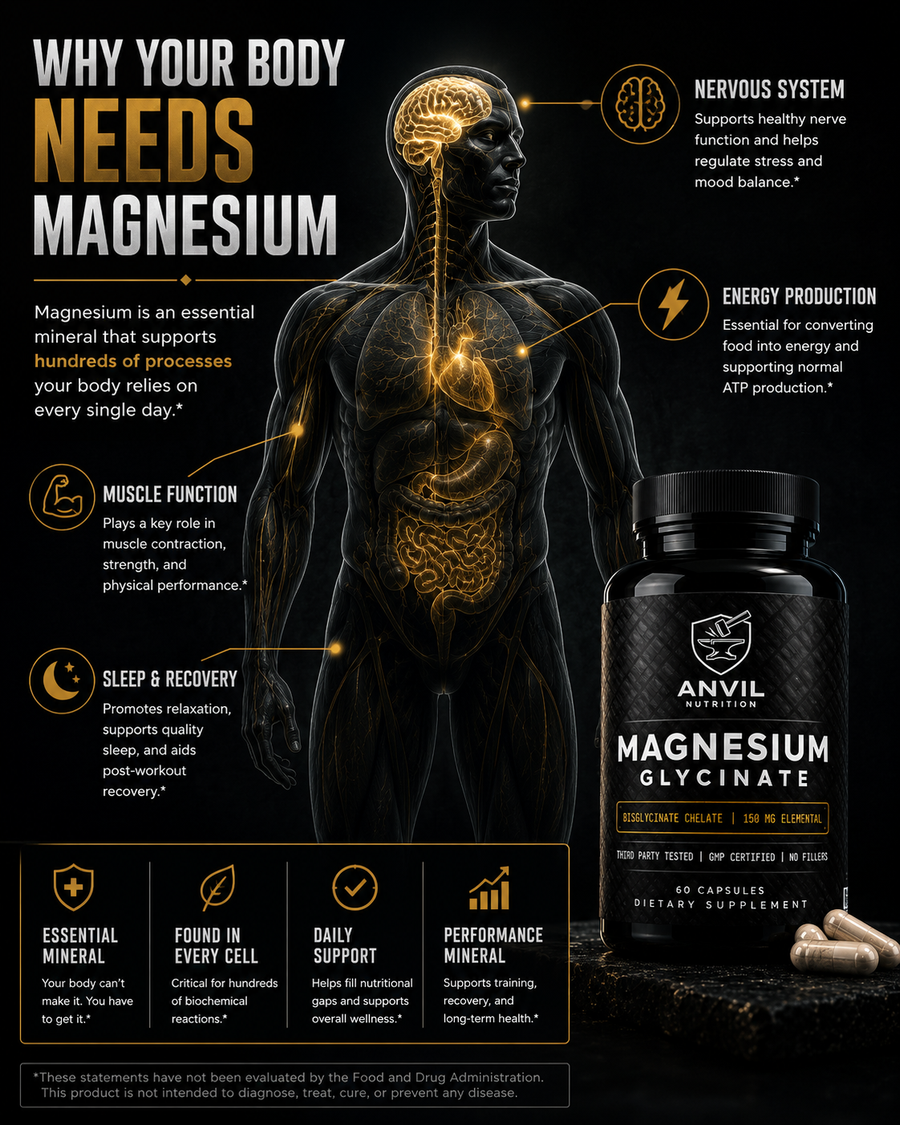 Why your body needs magnesium — nervous system, energy production, muscle function, sleep and recovery
