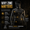 Anvil Nutrition Zinc Glycinate