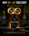Anvil Nutrition D3+K2