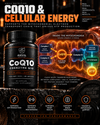 CoQ10 and cellular energy: inside the mitochondria, CoQ10 carries electrons from Complex I and Complex II to Complex III, feeding the proton gradient that drives ATP synthase
