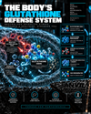 Diagram of the glutathione cycle: glutathione neutralizing reactive oxygen species, glutathione peroxidase leaving oxidized glutathione, and glutathione reductase with NADPH regenerating it.
