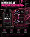 NMN is a precursor to NAD+: the NMN molecule is converted to NAD+ by NMNAT enzymes, shown beside the Anvil Nutrition NMN bottle