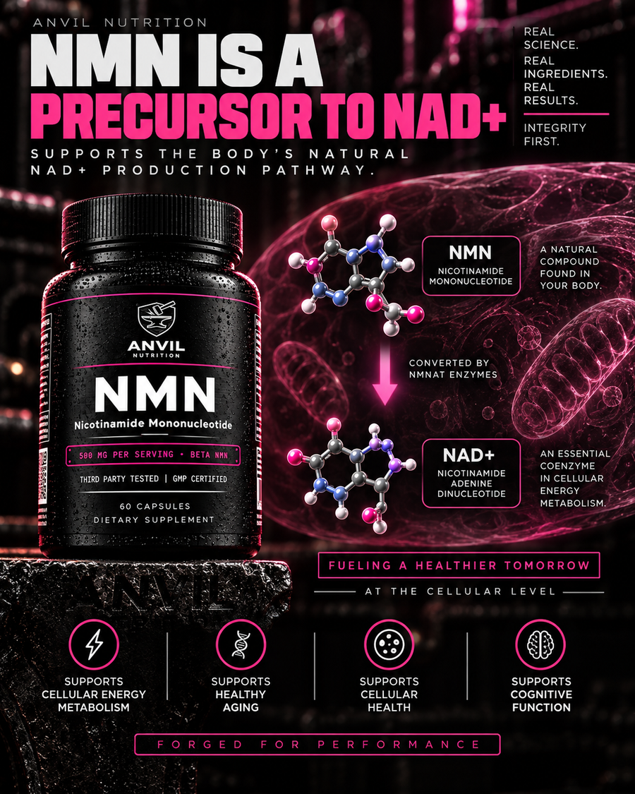 NMN is a precursor to NAD+: the NMN molecule is converted to NAD+ by NMNAT enzymes, shown beside the Anvil Nutrition NMN bottle